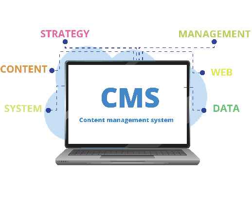 Elevating Content with Care: Heartfelt Salesforce CMS Development